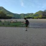 隣接するグラウンドでサッカーを楽しむ実習生の様子